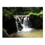 Postcard-Water 3