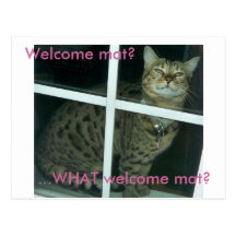Postcard - Welcome Mat?