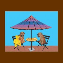 Postcard: Wheaten Chat