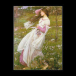 Postcard: Windflowers -  John Waterhouse postcards