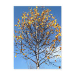 Postcard with autumn leaves Postcard with autumn leaves