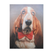 Postcard With Basset Hound In Bow Tie