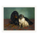 Postcard With Cute Painted Dogs