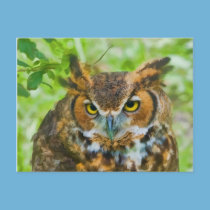Postcard with Great Horned Owl postcards