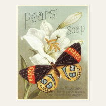 Postcard with Vintage Pears Soap Print postcards