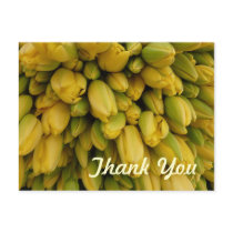 POSTCARD - Yellow Tulips - Thank You