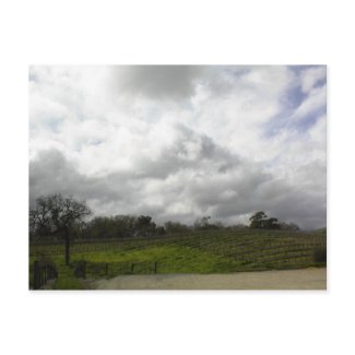 Postcard: Zenaida Vineyards, Paso Robles, CA postcard