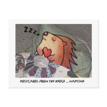 POSTCARDS  FROM THE hEDGE!