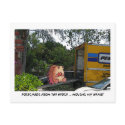 POSTCARDS FROM THE hEDGE!