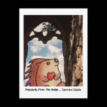 POSTCARDS FROM THE hEDGE - Eleventh in Series