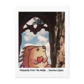 postcards from the hedge eleventh in series p2399955239939832727mpi 170 digital postcard printing 3D Lenticular POSTCARD GNAPHALIUM/EDELWEISS