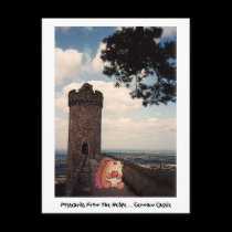 POSTCARDS FROM THE hEDGE - Tenth In Series