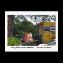 POSTCARDS FROM THE hEDGE ~ Twenty-First  in Series