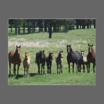 Postcards - Mares & Foals by smilodonart Postcards - Mares & Foals