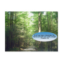 Postcards: Path in Forest by disciplecrafts Postcards: Path in Forest