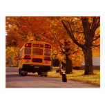 POSTCARDS   SCHOOL BUS