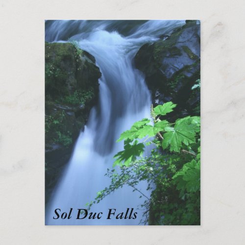 Postcards: Sol Duc Falls postcard