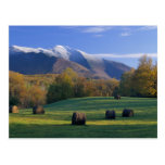 POSTCARDS   VERMONT MT. MANSIFIELD