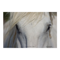 Poster posters by 1drafthorse Poster posters