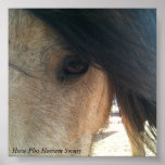 Poster posters