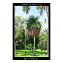 Poster 1 - Fairchild Tropical Garden posters