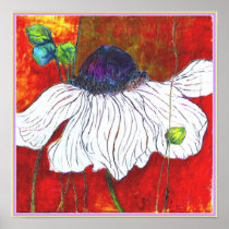 POSTER: Anemone White Night
