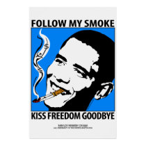 Poster: Anti Barack Obama Political Satire posters