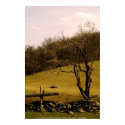 POSTER Appalachian Mountain Trail - West Vir... posters