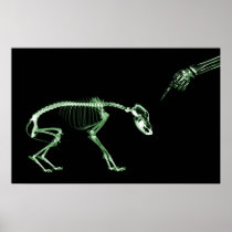 Poster- Bad Dog Xray Skeleton Black Green