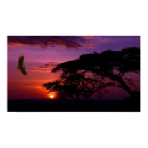 Poster-Beautiful Skies posters