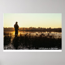 Poster / Beauty of the Hunt