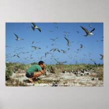Poster / Birdwatching at Occoquan Bay NWR