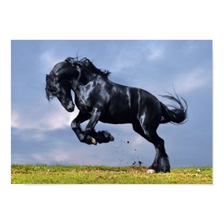 Poster - Black Friesian Horse Running Free