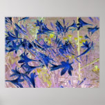 Poster Blue flowers posters