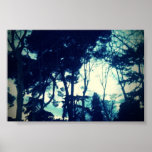 Poster Blue Forest posters