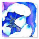 poster blue magnolia posters