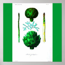 Poster-Botanicals-Alcachofa y espárrago