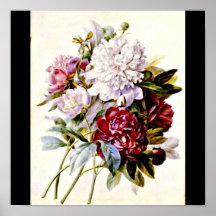 Poster-Botanicals-Pedro José Redoute 16