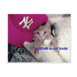 Poster Boy for Love Jazzpurr Postcards