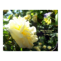 Poster: Bronx Zoo flowers posters