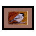 Poster - Chickadee posters