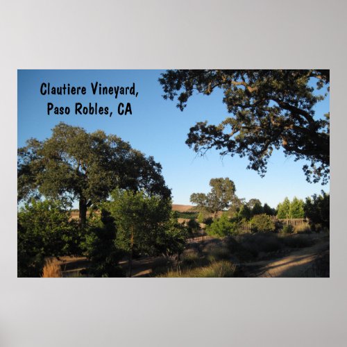 Poster: Clautiere Vineyard, Paso Robles, CA print