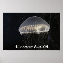 Poster: Crystal Jelly