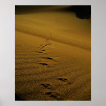 Poster de Death Valley