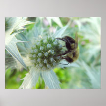 poster de la abeja