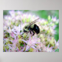 poster de la abeja