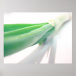 Poster de la cocina de la cebolla verde