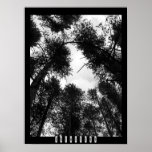 Poster de la intuición