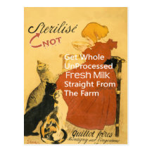 Poster de la leche del vintage del gatito tarjetas postales