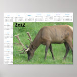 Poster del calendario de 2012 alces